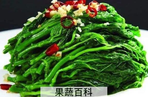 桑芽菜的功效与作用
