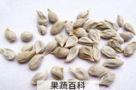 桔子籽粉的功效与作用