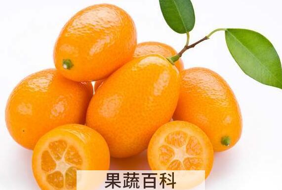 金桔籽的功效与作用