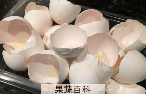 鸡蛋壳粉的功效与作用及药用价值