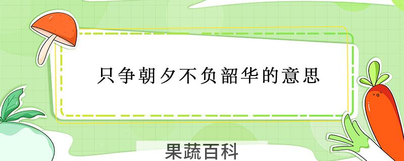 只争朝夕不负韶华的意思