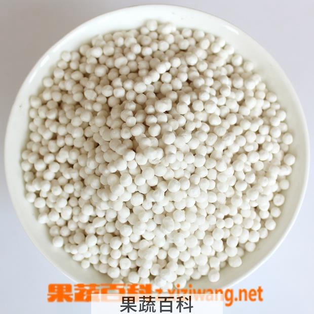 果蔬百科西米怎么煮好吃 西米的煮法