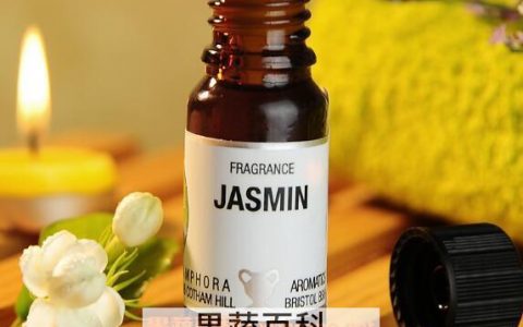 头发精油有哪些作用 头发精油的功效与用法