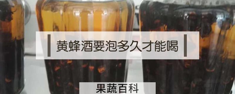 黄蜂酒要泡多久才能喝