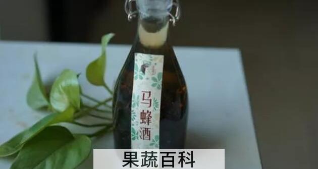 黄蜂酒要泡多久才能喝