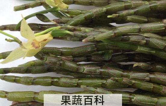 鲜石斛的功效与作用及食用方法