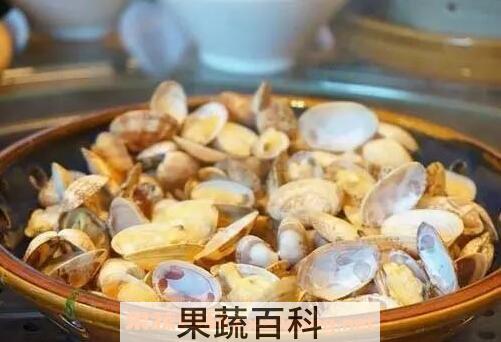 油蛤干的营养价值