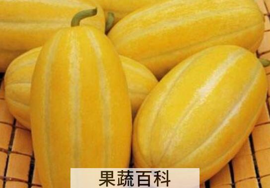 洋香瓜与甜瓜的区别 吃甜瓜的好处