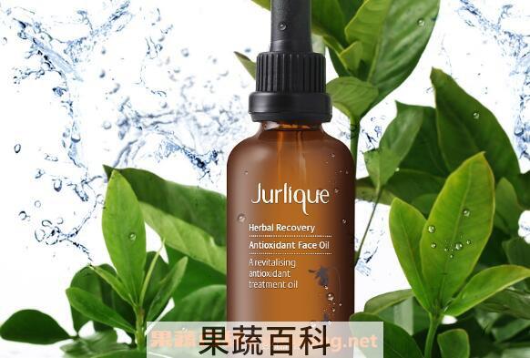 芳香精油和精油的区别 芳香精油的用途