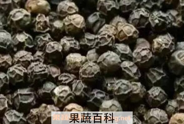 黑胡椒精油的功效与作用
