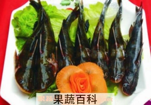 昂丁鱼的营养价值