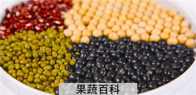豆浆可以用几种豆子