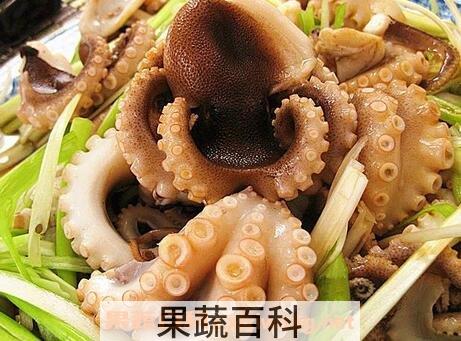 八带鮹的营养价值