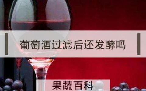 葡萄酒过滤后还发酵吗