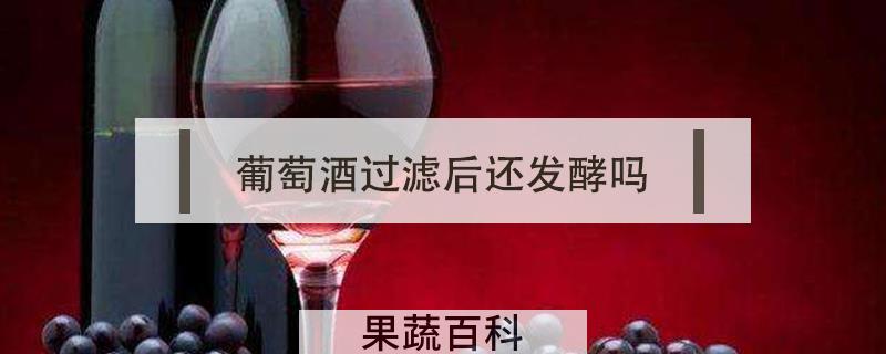 葡萄酒过滤后还发酵吗