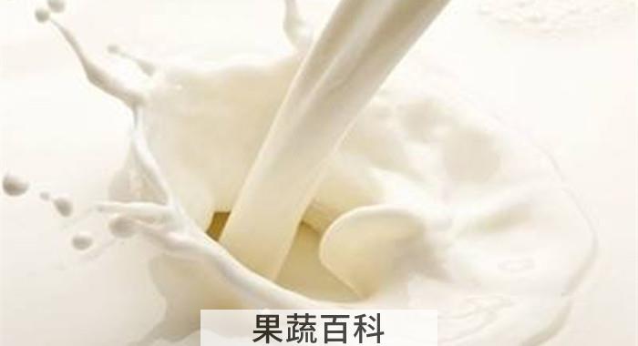 纯牛奶解酒吗