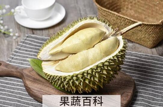 女人必吃的暖宫水果