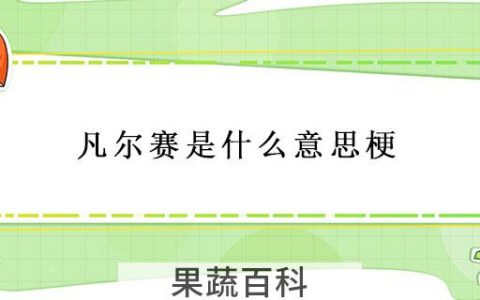 凡尔赛是什么意思梗