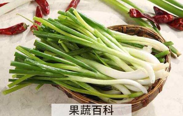 小葱的功效与作用及副作用
