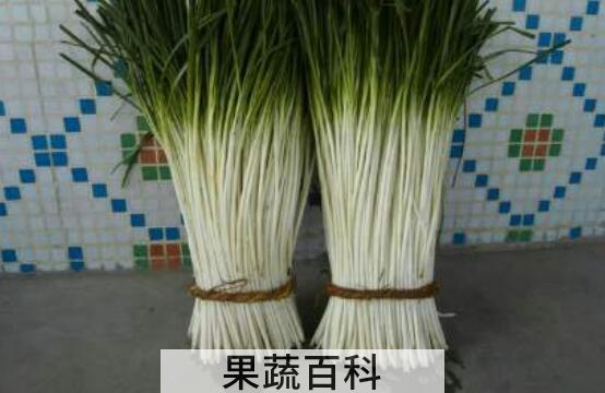 韭白与薤白有什么区别 薤白的功效