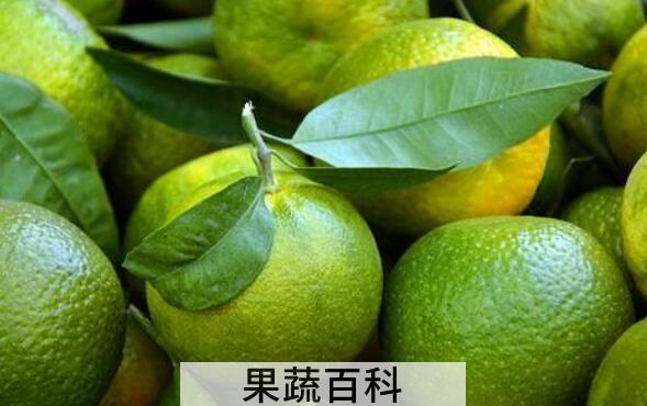 绿橘子的营养价值