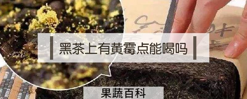 黑茶上有黄霉点能喝吗