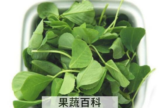 秧草的功效与作用