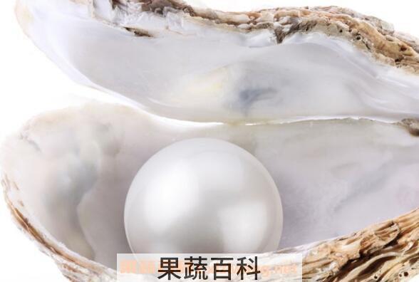 淡水珍珠和海水珍珠的区别