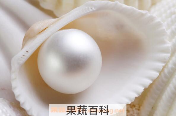 淡水珍珠和海水珍珠的区别