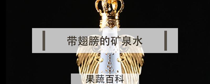 带翅膀的矿泉水