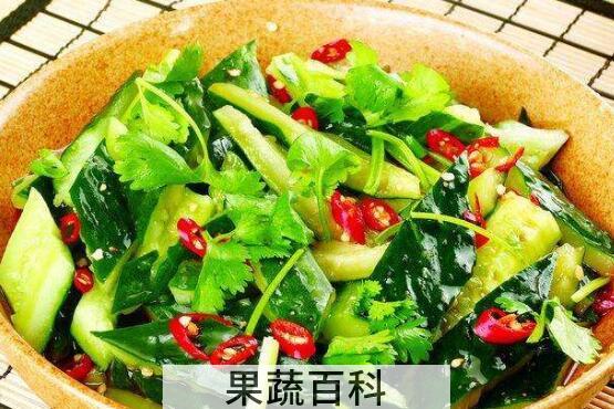 黄瓜菜怎么拌好吃 黄瓜菜的做法大全