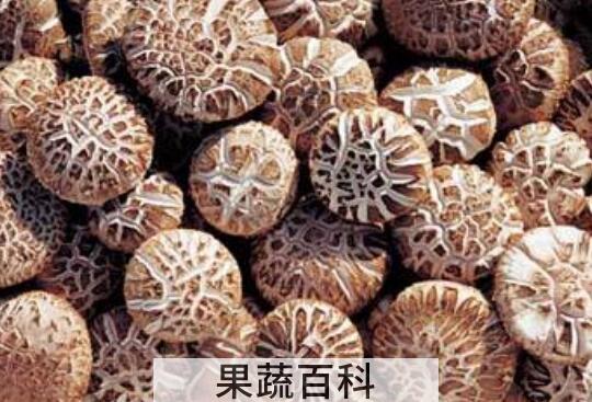 花菇的功效与作用 什么人不能吃花菇