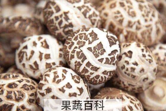 花菇的功效与作用 什么人不能吃花菇
