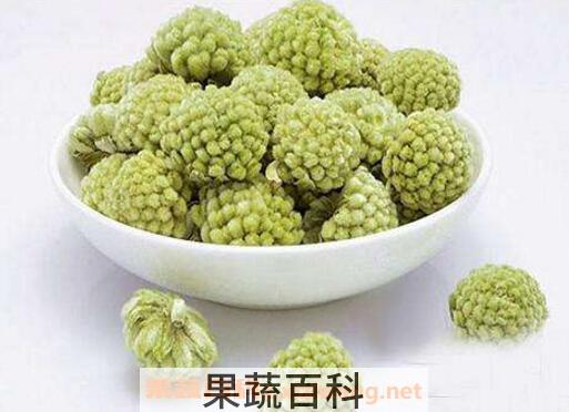 绿萝花的功效与作用