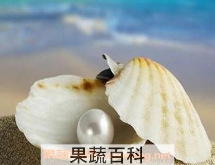 珍珠蚌壳的药用价值