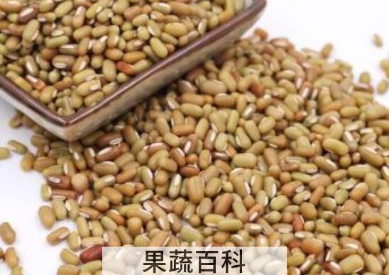 巴山豆的功效与作用 巴山豆的药用价值