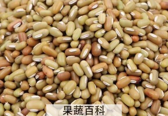 巴山豆和绿豆的区别 绿豆的功效