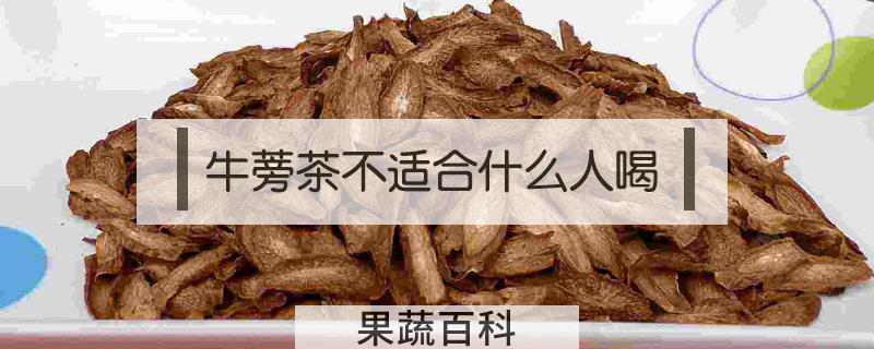 牛蒡茶不适合什么人喝