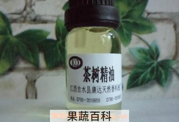 茶树精油如何用 茶树精油的使用方法