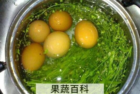 荠菜花煮鸡蛋的功效与作用