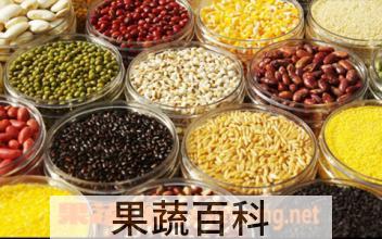 果蔬百科五谷杂粮有哪些及其功效