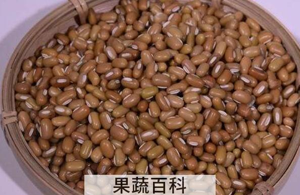 巴山豆和赤小豆的区别 吃巴山豆的好处