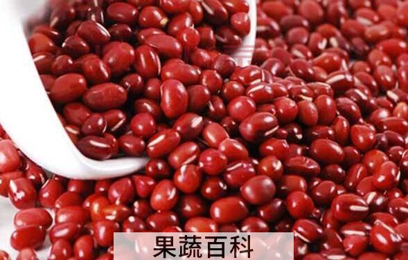 巴山豆和赤小豆的区别 吃巴山豆的好处