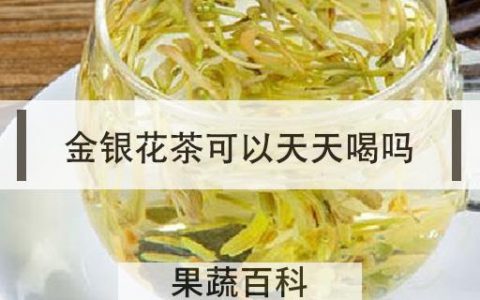 金银花茶可以天天喝吗