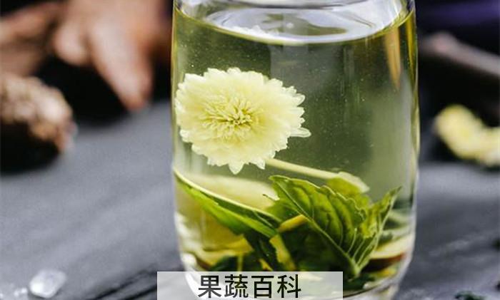 金银花茶可以天天喝吗