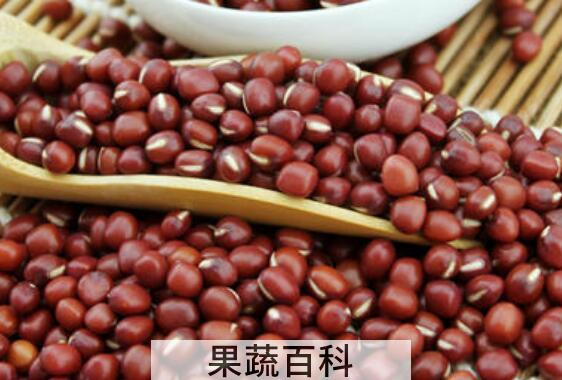 红小豆和赤小豆的区别