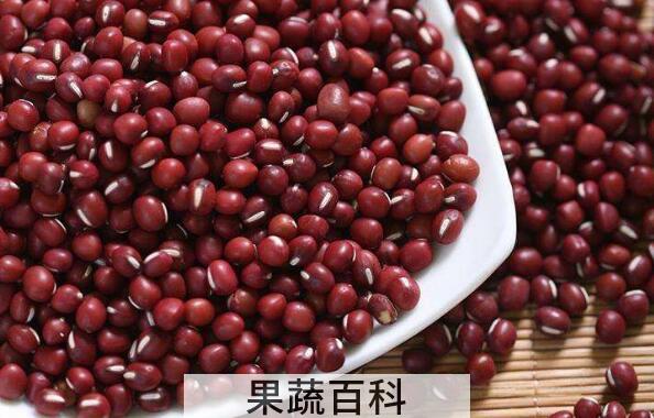 红小豆和赤小豆的区别