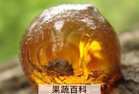 琥珀的功效与作用有哪些