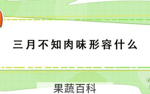 三月不知肉味形容什么