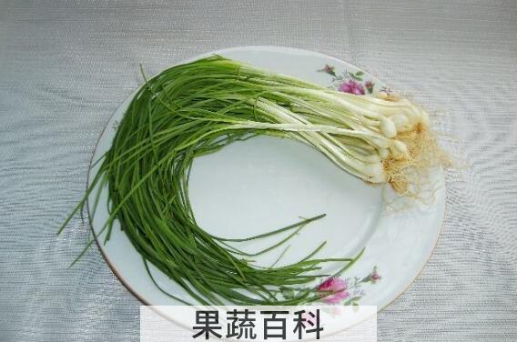 大脑瓜的作用和功效